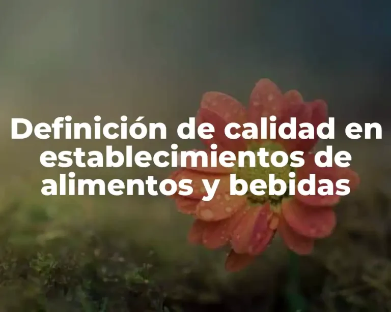 Definición de calidad en establecimientos de alimentos y bebidas