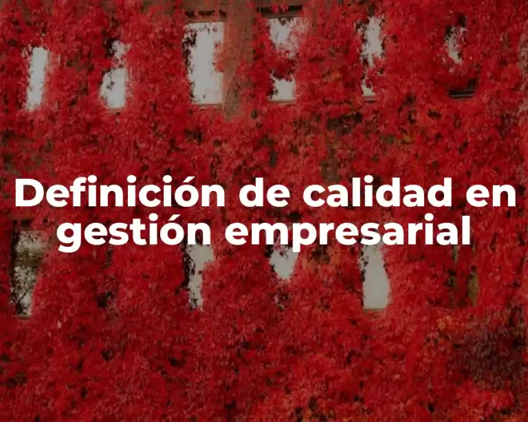 Definición de calidad en gestión empresarial
