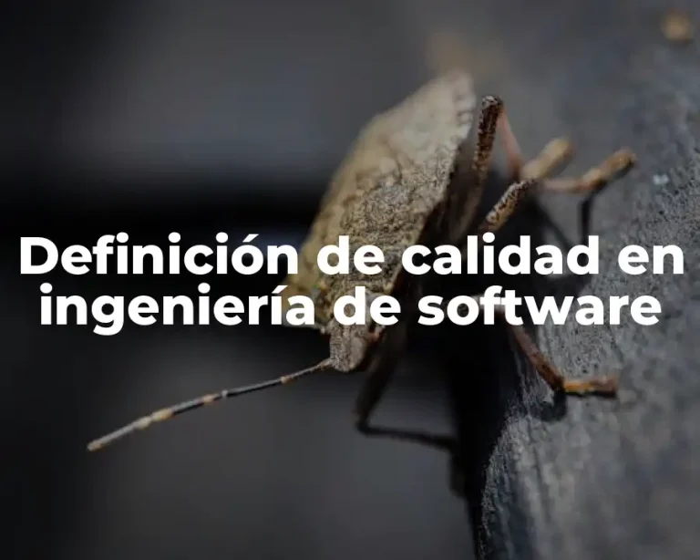 Definición de calidad en ingeniería de software
