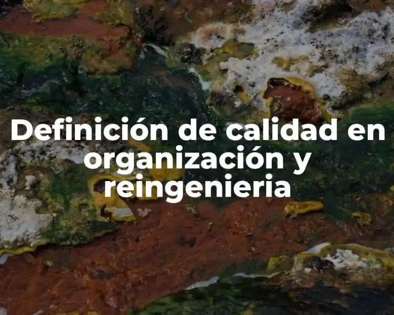 Definición de calidad en organización y reingenieria