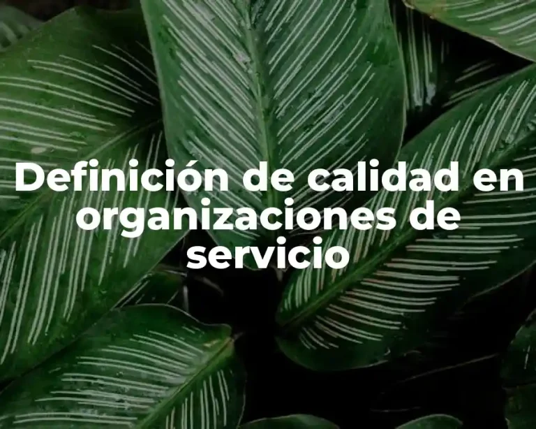 Definición de calidad en organizaciones de servicio