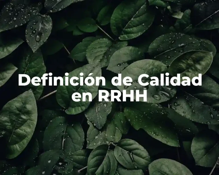 Definición de Calidad en RRHH