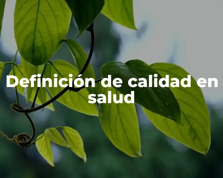 Definición de calidad en salud