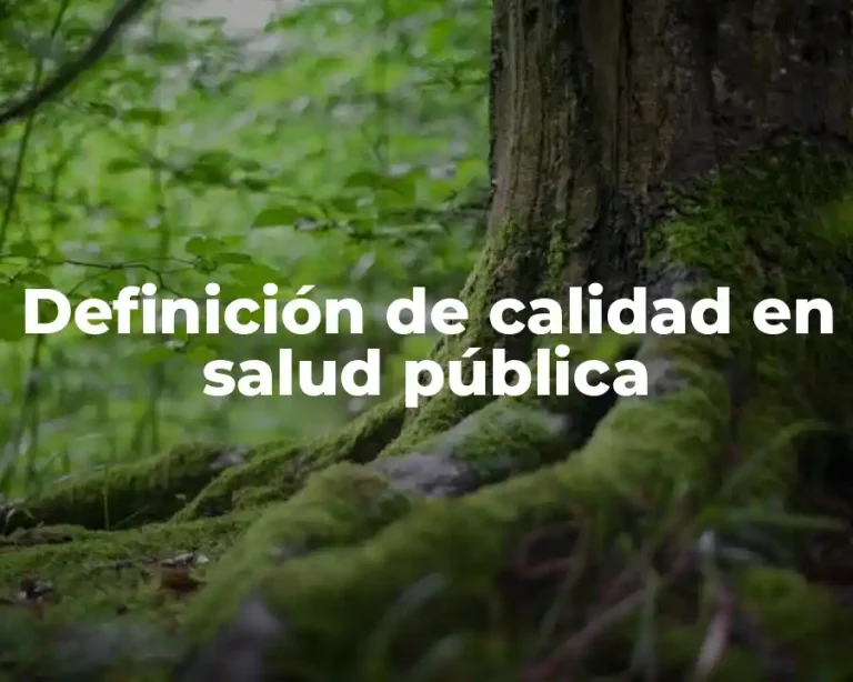 Definición de calidad en salud pública