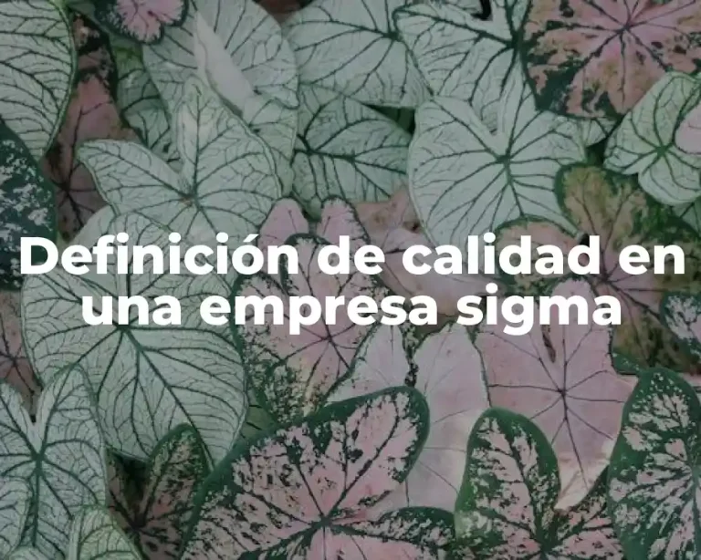Definición de calidad en una empresa sigma