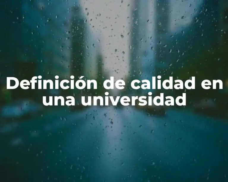 Definición de calidad en una universidad