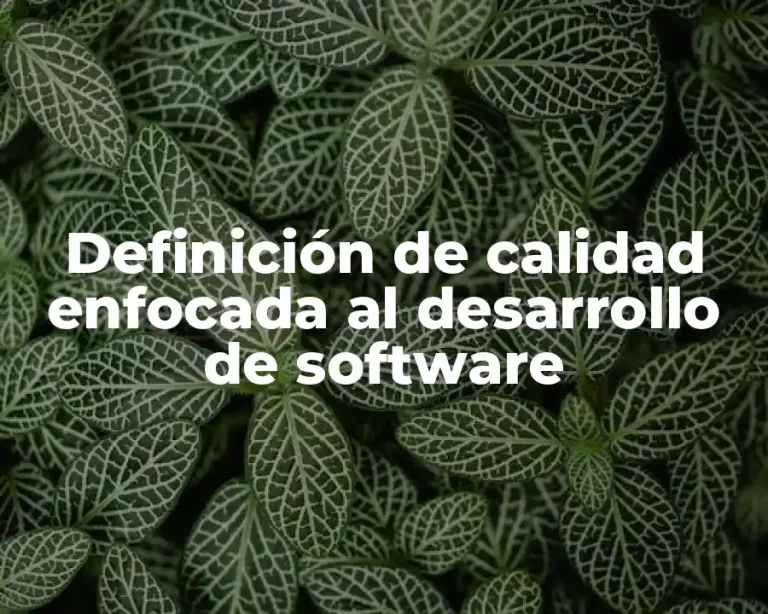 Definición de calidad enfocada al desarrollo de software