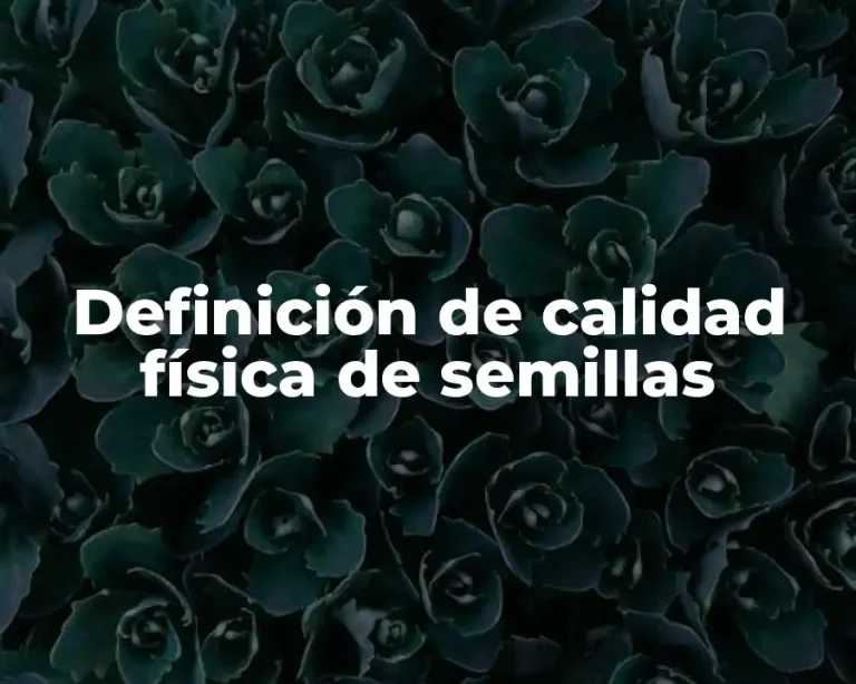 Definición de calidad física de semillas