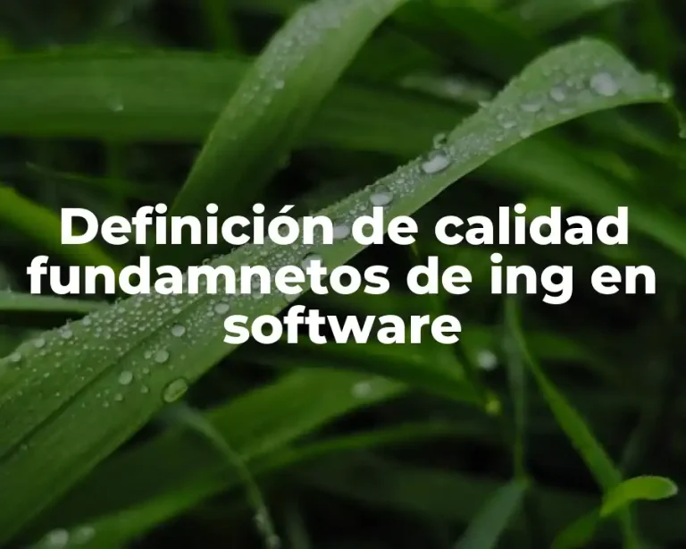 Definición de calidad fundamnetos de ing en software