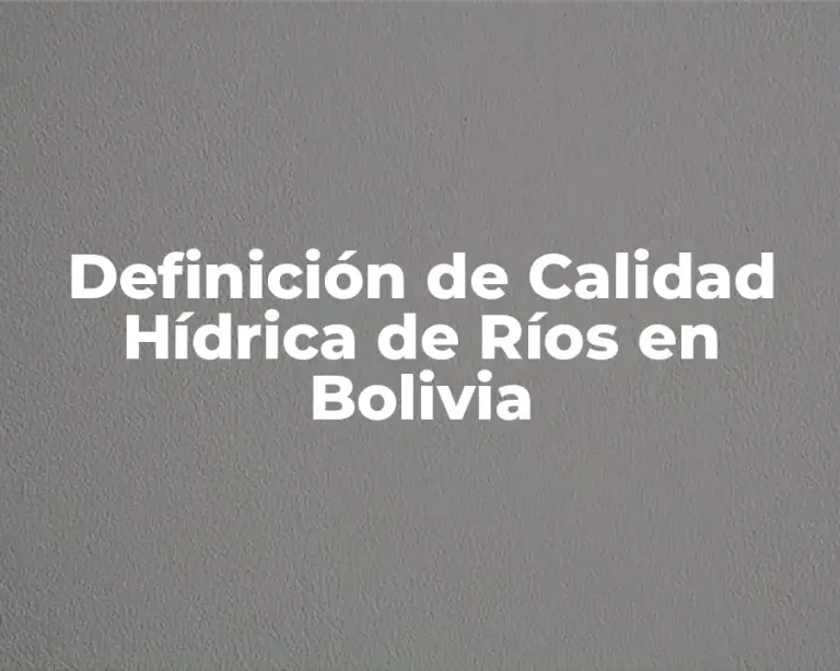 Definición de Calidad Hídrica de Ríos en Bolivia