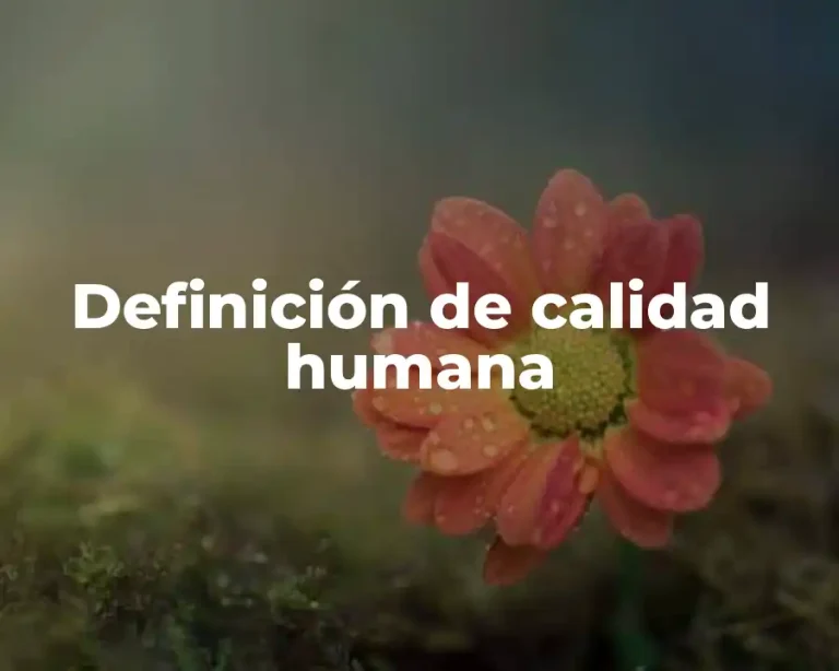 Definición de calidad humana