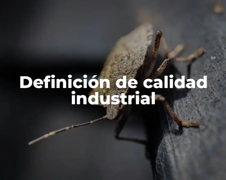 Definición de calidad industrial