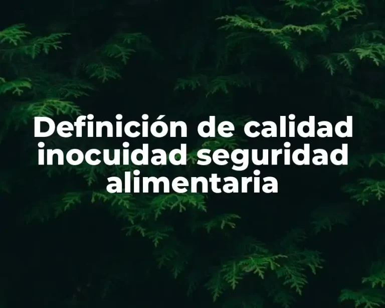 Definición de calidad inocuidad seguridad alimentaria