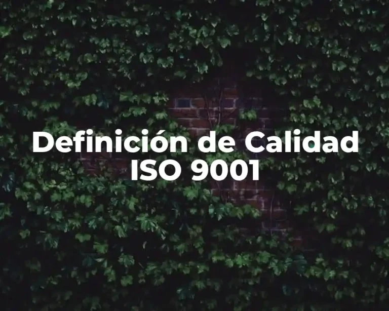 Definición de Calidad ISO 9001