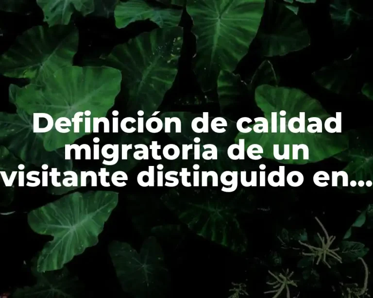 Definición de calidad migratoria de un visitante distinguido en México