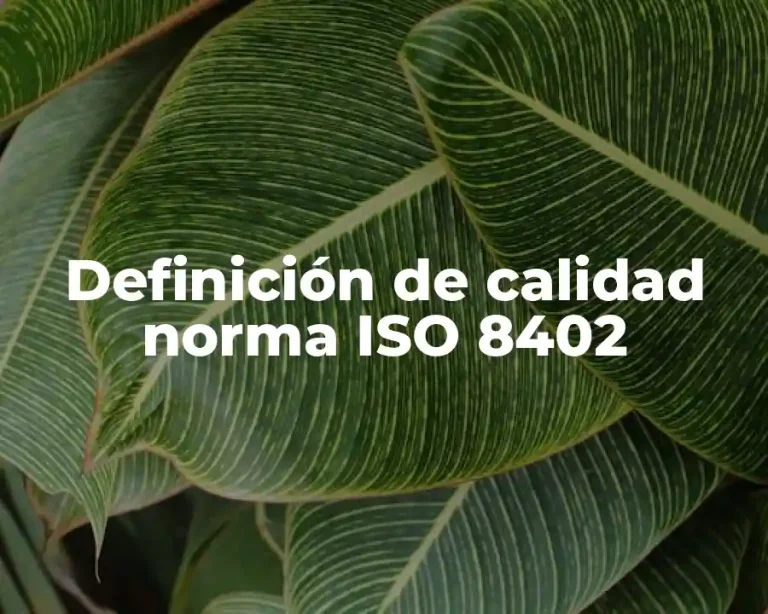Definición de calidad norma ISO 8402