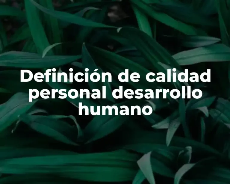 Definición de calidad personal desarrollo humano