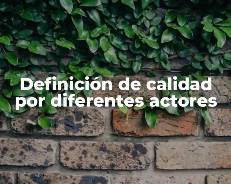 Definición de calidad por diferentes actores