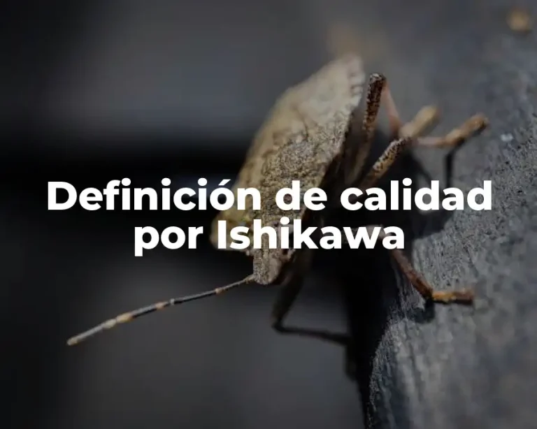 Definición de calidad por Ishikawa