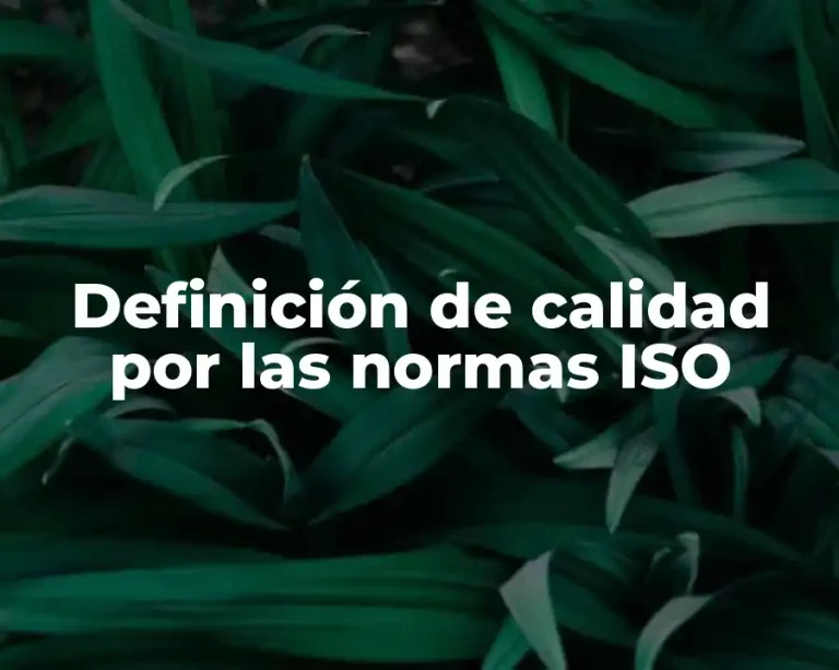 Definición de calidad por las normas ISO