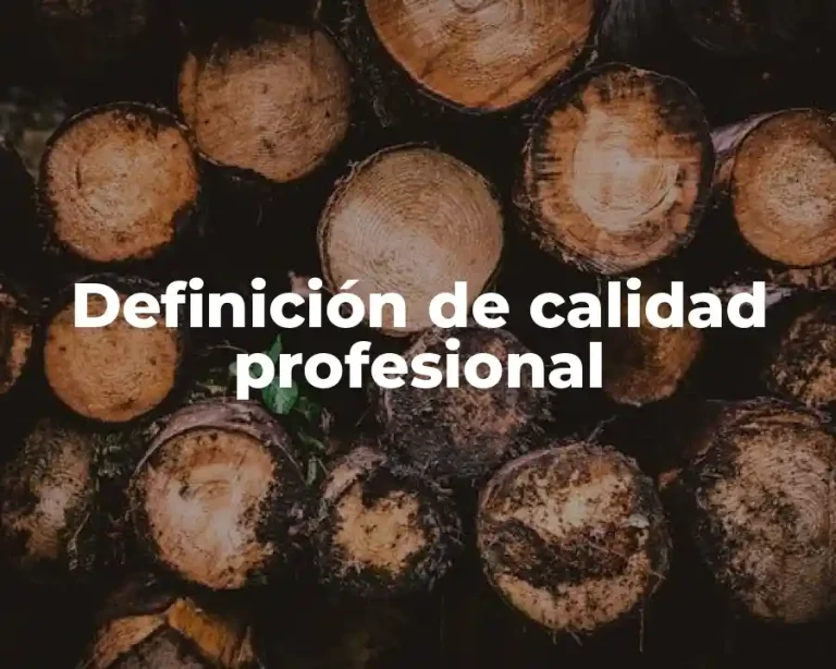 Definición de calidad profesional