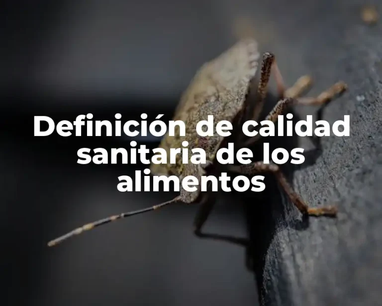 Definición de calidad sanitaria de los alimentos