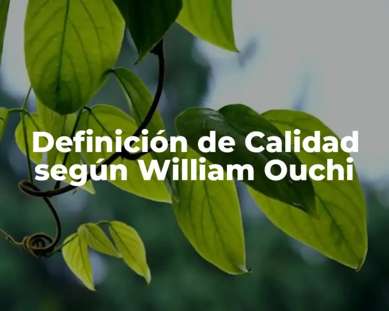 Definición de Calidad según William Ouchi