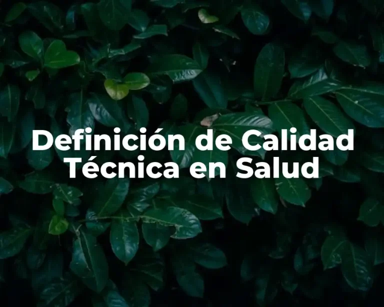 Definición de Calidad Técnica en Salud