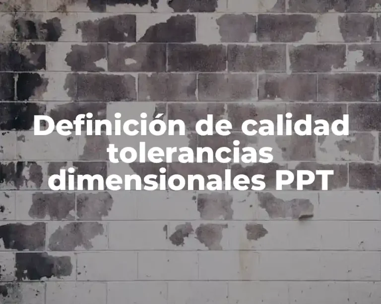Definición de calidad tolerancias dimensionales PPT