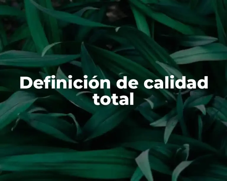 Definición de calidad total