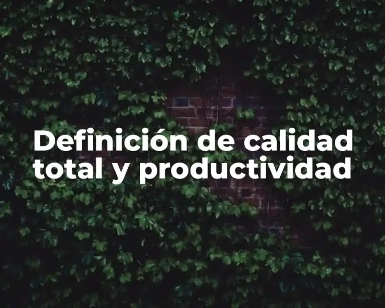 Definición de calidad total y productividad