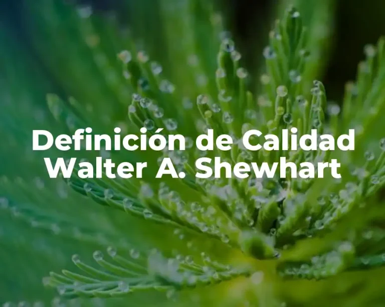 Definición de Calidad Walter A. Shewhart