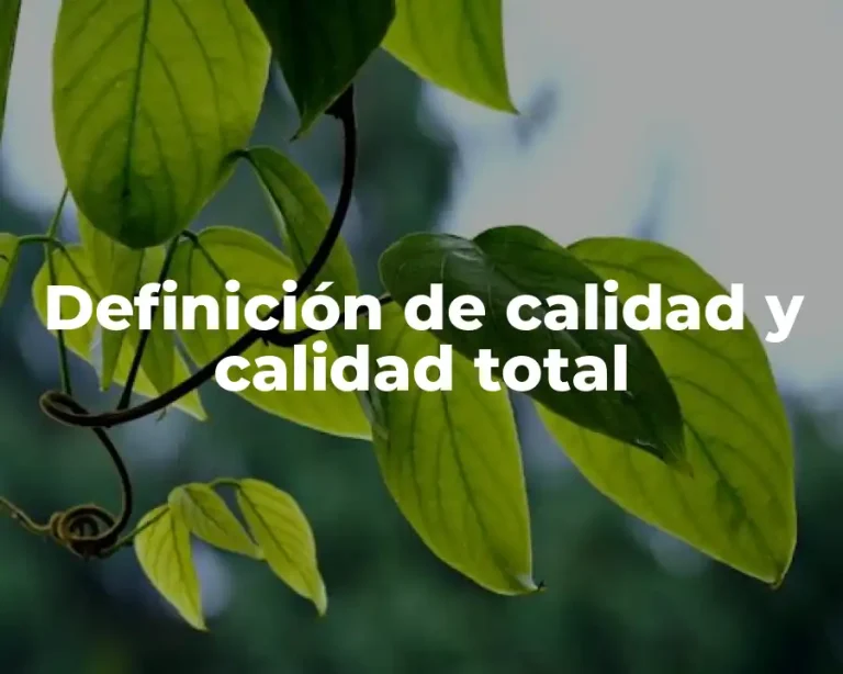 Definición de calidad y calidad total