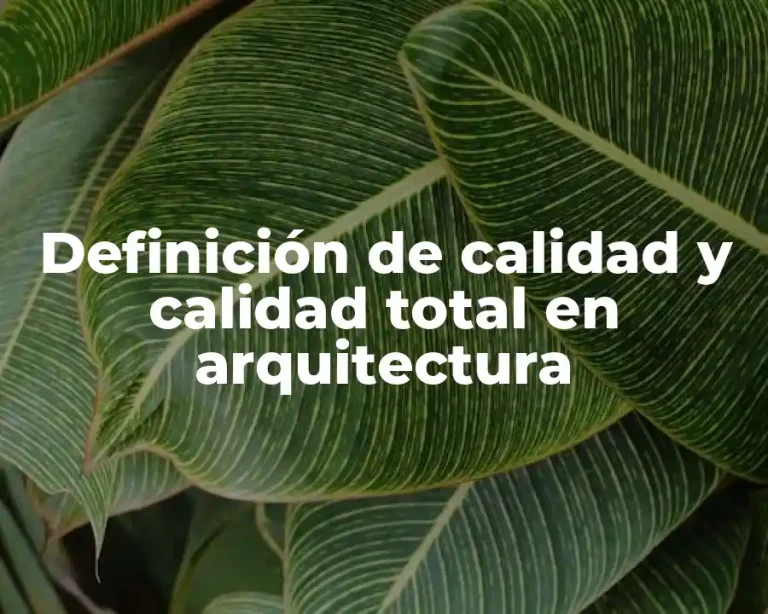 Definición de calidad y calidad total en arquitectura