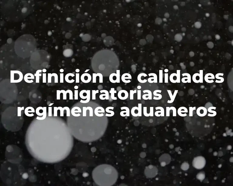 Definición de calidades migratorias y regímenes aduaneros