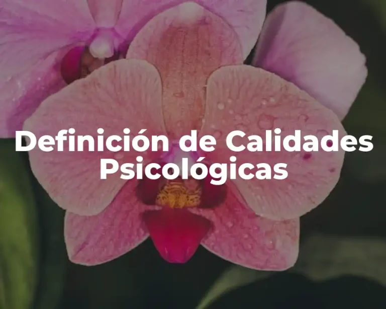 Definición de Calidades Psicológicas