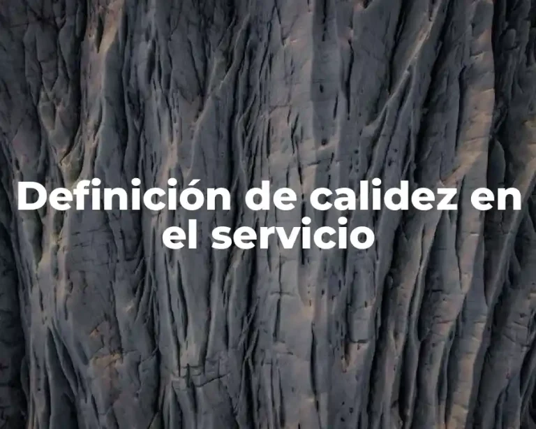 Definición de calidez en el servicio