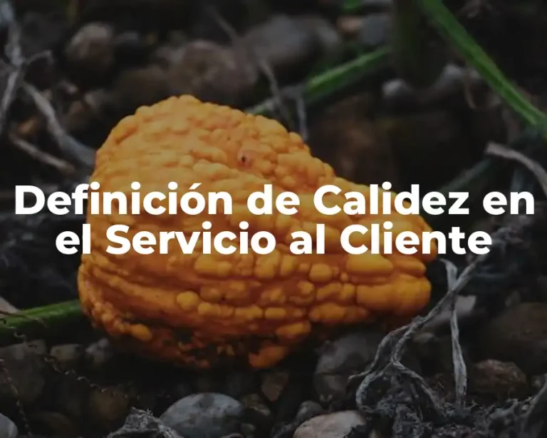 Definición de Calidez en el Servicio al Cliente