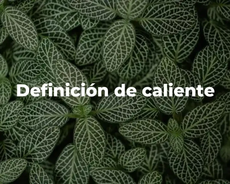 Definición de caliente