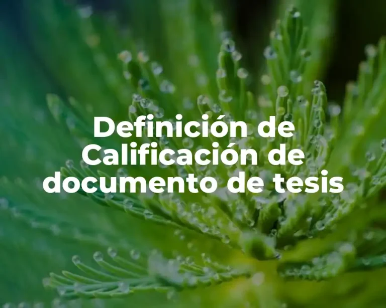 Definición de Calificación de documento de tesis