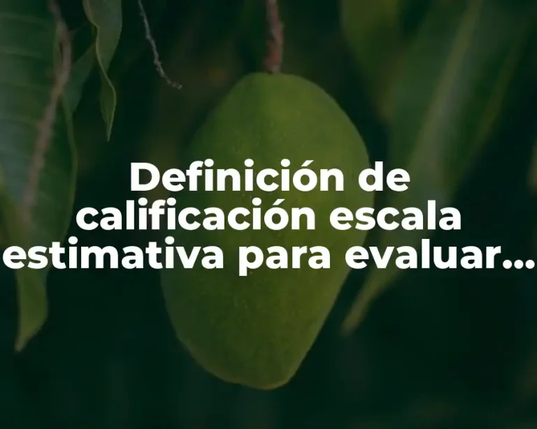 Definición de calificación escala estimativa para evaluar en preescolar