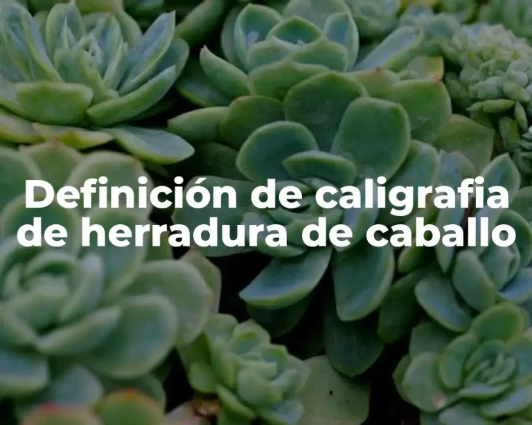 Definición de caligrafia de herradura de caballo