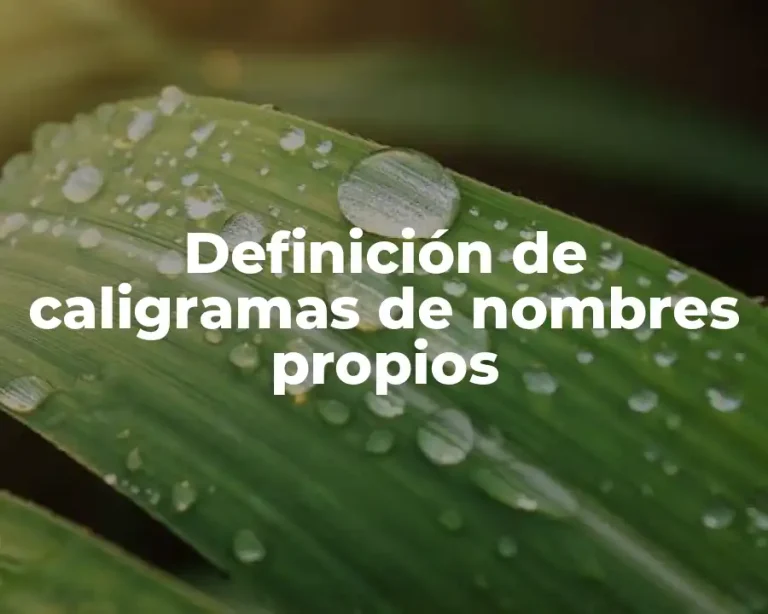 Definición de caligramas de nombres propios
