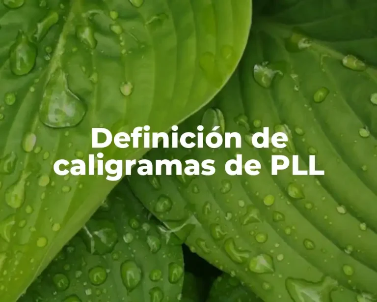 Definición de caligramas de PLL
