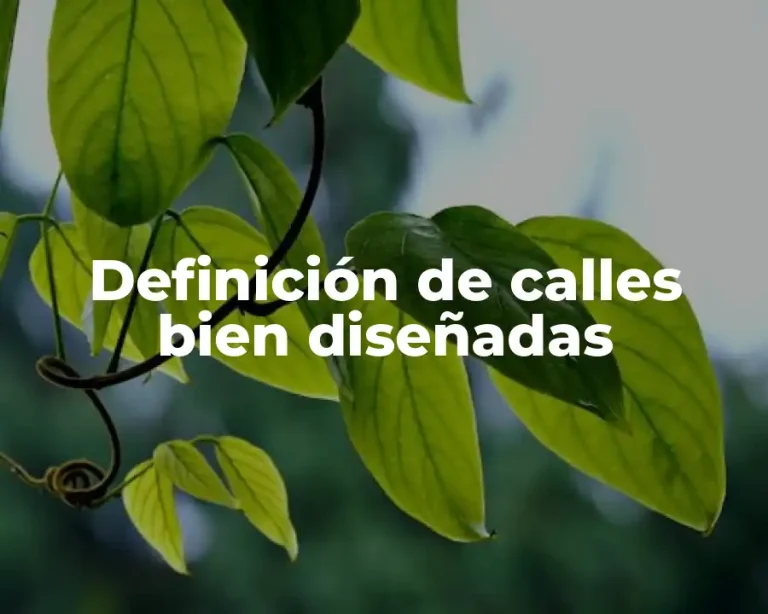 Definición de calles bien diseñadas