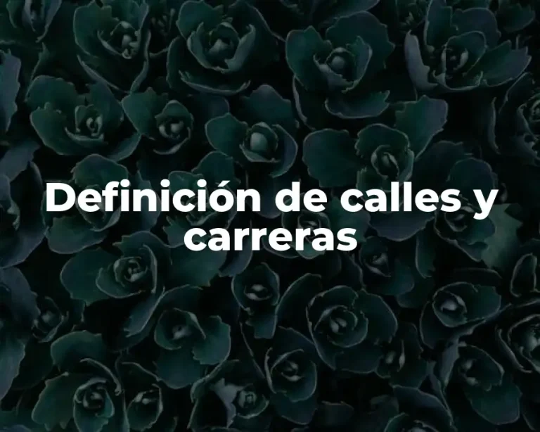 Definición de calles y carreras