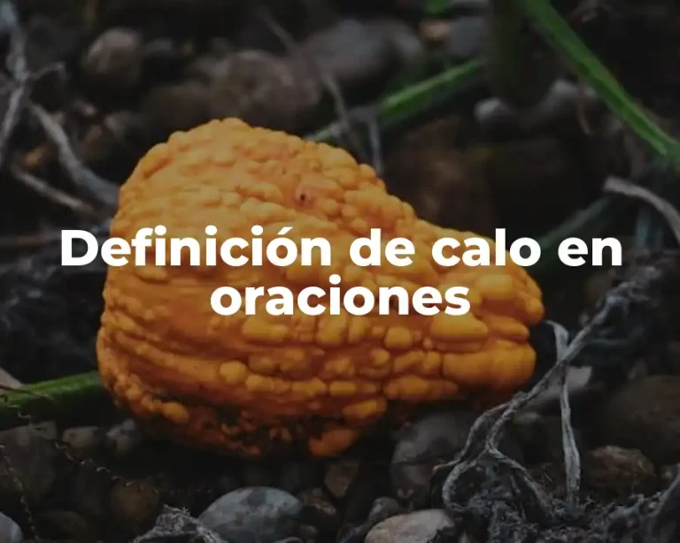 Definición de calo en oraciones