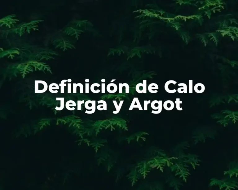 Definición de Calo Jerga y Argot