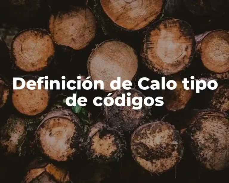 Definición de Calo tipo de códigos