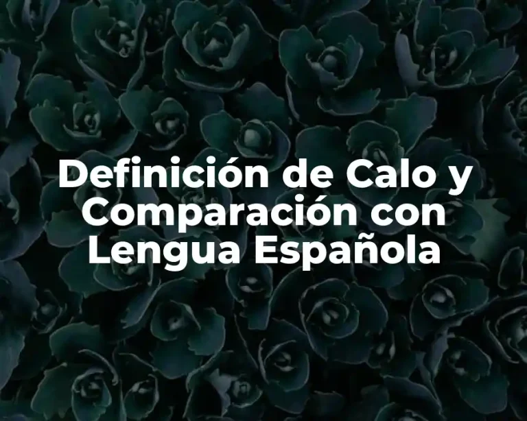 Definición de Calo y Comparación con Lengua Española
